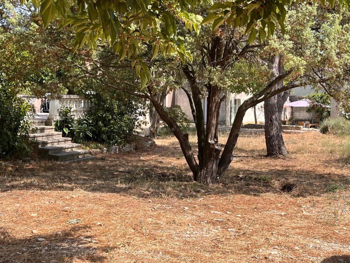 Maisonnette Independante Avec Jardin/Patio Νιμ Εξωτερικό φωτογραφία